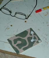 DSCF3044