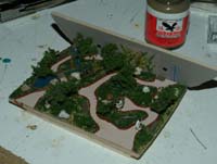 DSCF3046