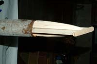 DSCF2783